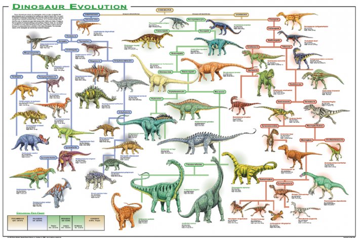 Dinosaur_evolution_poster2