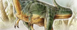Big Grassy Dinosaur With A Long Neck