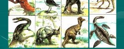 Dinosaurs Of The Legal Period