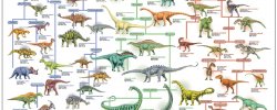 Dinosaurs Evolution