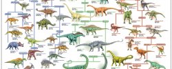 Dinosaurs Evolution