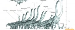 The Biggest Dinosaur