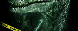 See Dinosaur In Good Quality