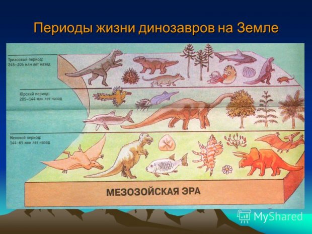 Презентация на тему: Городской конкурс исследовательских 6 Периоды жизни динозавров на
