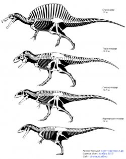 Cамые большие хищные динозавры