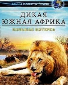 Дикая Южная Африка: Большая пятерка (2013)