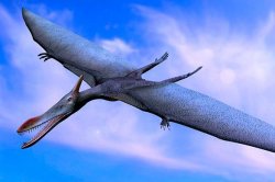 Динозавров истребил человек? Птиц ужаса - точно он