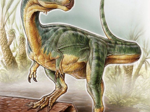 Big Grassy Dinosaur With A Long Neck