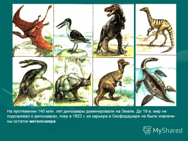 Dinosaurs Of The Legal Period