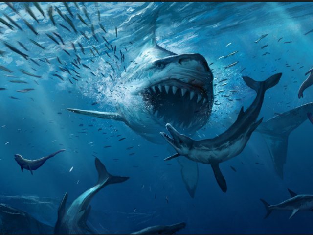 Ancient Predators