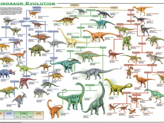 Dinosaurs Evolution