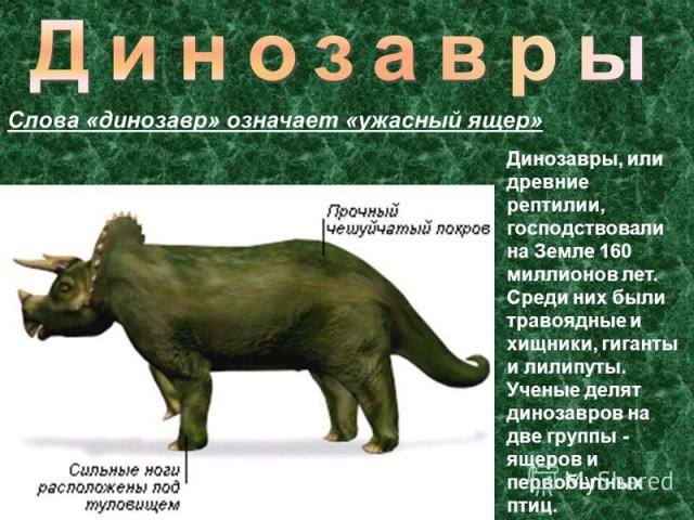Prey Grassy Dinosaurs