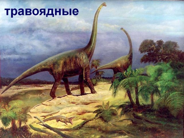 What Dinosaurs Are Grassy