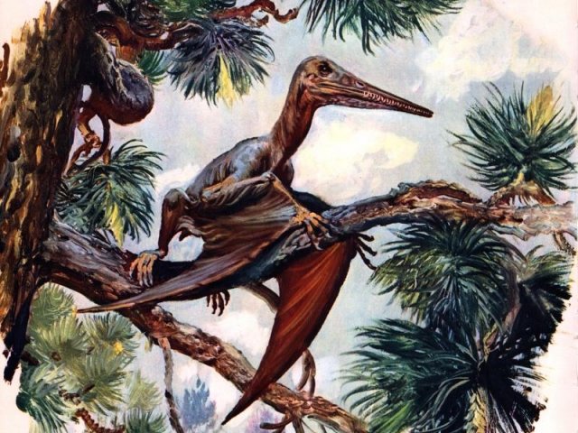 Dinosaurs Flying Photos