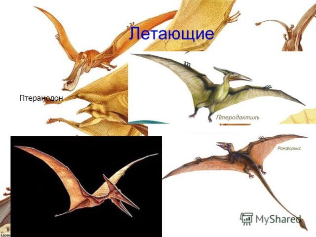 Leading Dinosaur Name