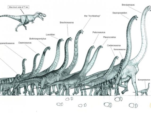 The Biggest Dinosaur