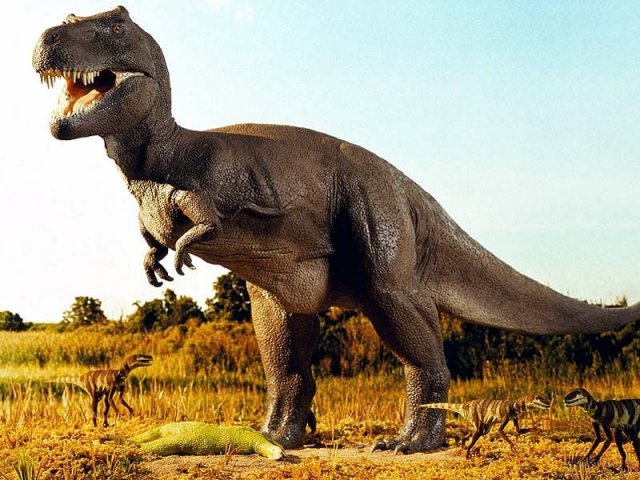 All The Dinosaurs