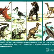 Dinosaurs Of The Legal Period