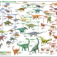 Dinosaurs Evolution