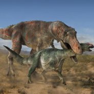 Predatory Dinosaurs With Description