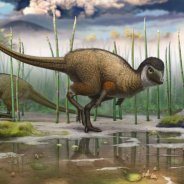 What Dinosaurs Fly