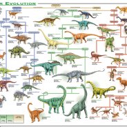 Dinosaurs Variety