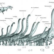 The Biggest Dinosaur