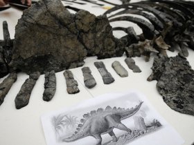 Травоядные динозавры убивали хищных ударом в пах